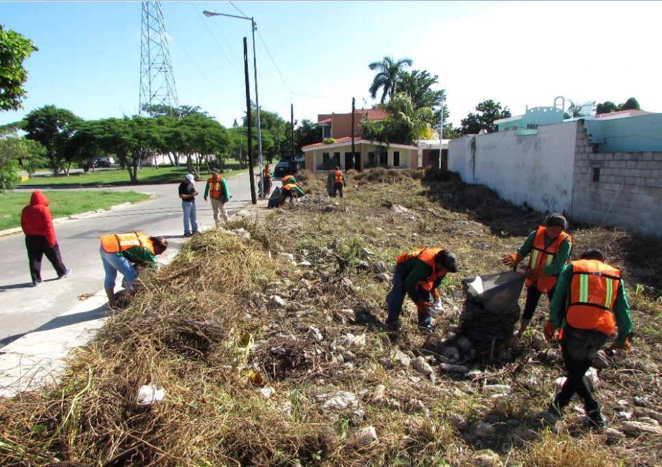 Apoyan Programa de Empleo Temporal en Mérida Apoyan Programa de Empleo Temporal en Mérida