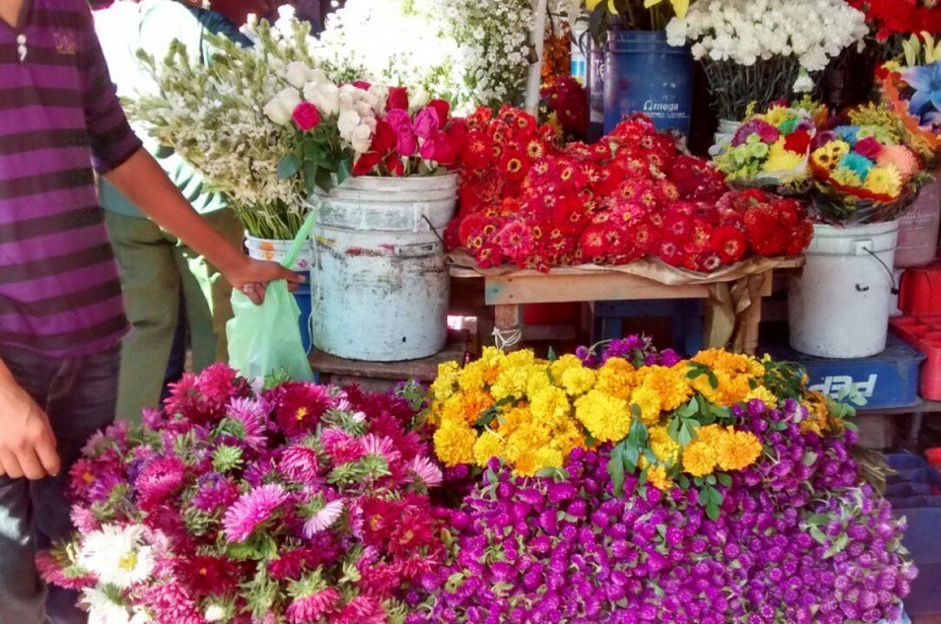 Baja la venta de flores durante Hanal Pixán Baja la venta de flores durante Hanal Pixán