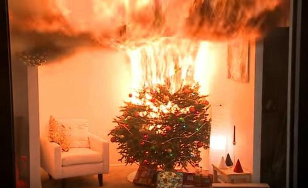 En diciembre hay hasta 15 conatos de incendio en Yucatán En diciembre hay hasta 15 conatos de incendio en Yucatán