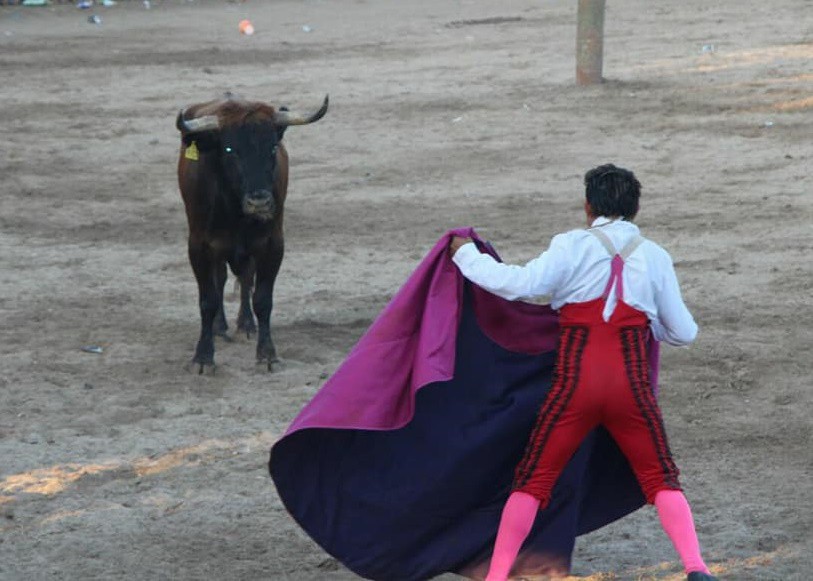Constatan toros para la próxima corrida de postín de Tizimín Constatan toros para la próxima corrida de postín de Tizimín