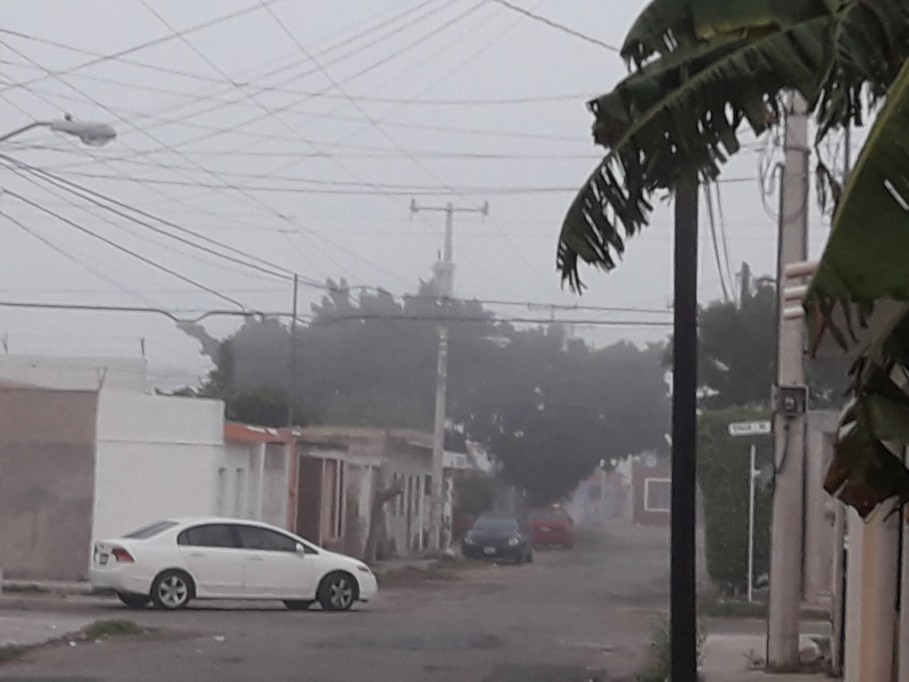 Noches y madrugadas frías con 5°C en Yucatán Noches y madrugadas frías con 5°C en Yucatán