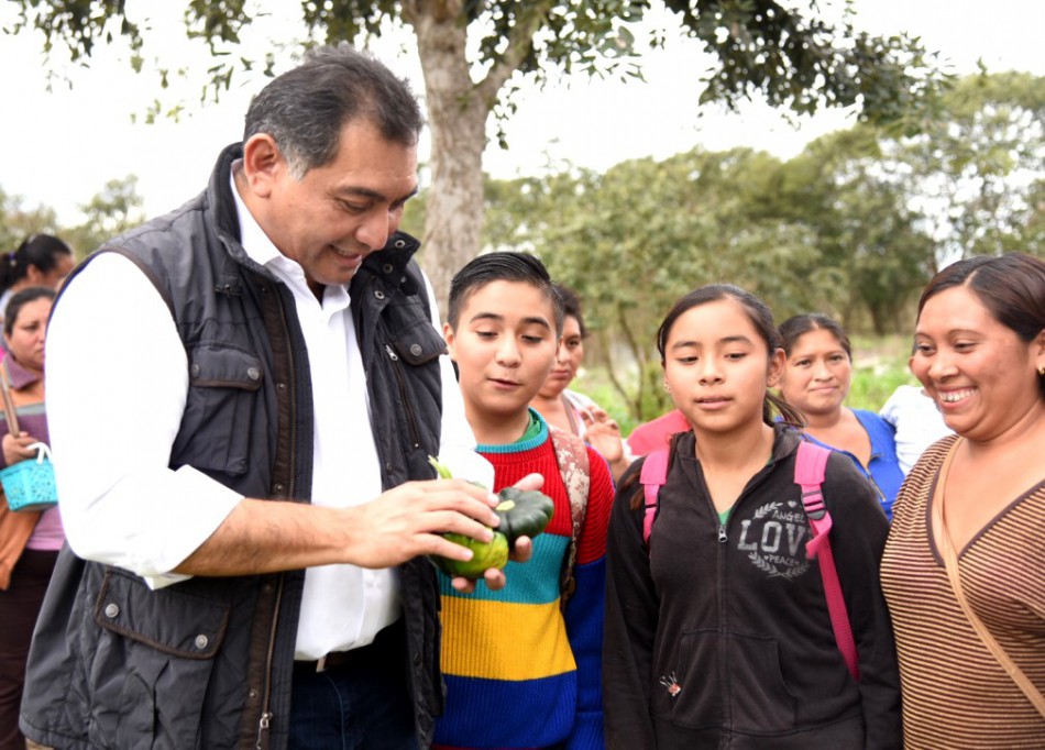 El campo yucateco, un área de oportunidad El campo yucateco, un área de oportunidad
