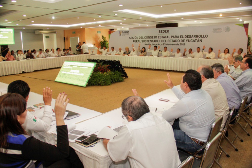 Buscan consolidar el crecimiento del campo yucateco Buscan consolidar el crecimiento del campo yucateco