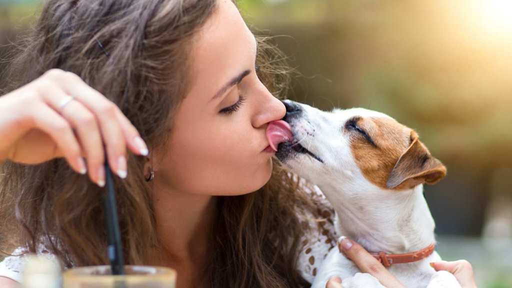 Besar a tu mascota puede ser ¡mortal! Besar a tu mascota puede ser ¡mortal!