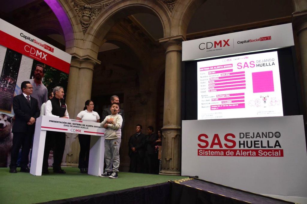 Lanzan programa para recuperar mascotas Lanzan programa para recuperar mascotas