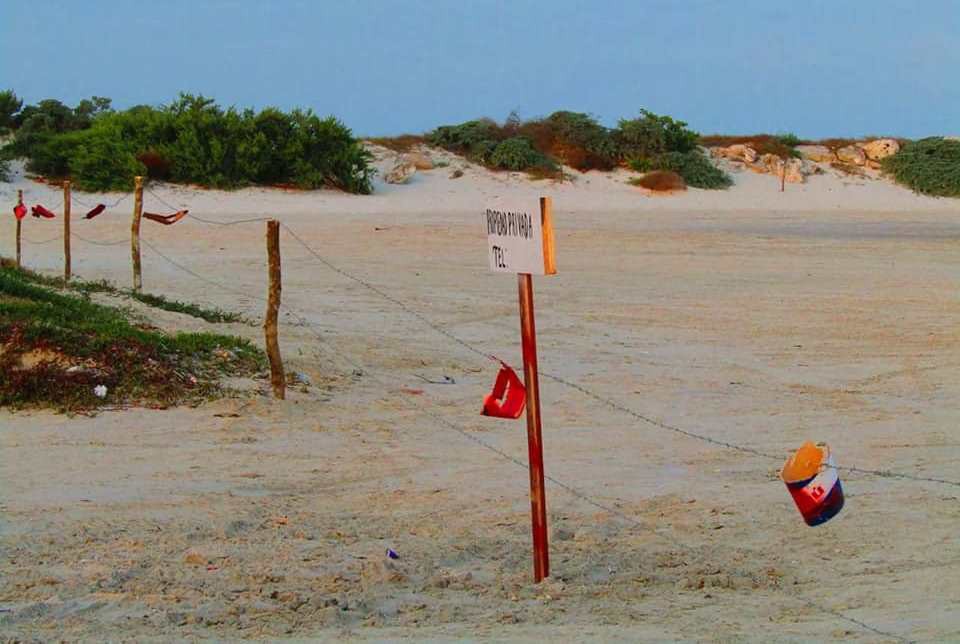 Buscan recuperar el playón de Chuburná Buscan recuperar el playón de Chuburná