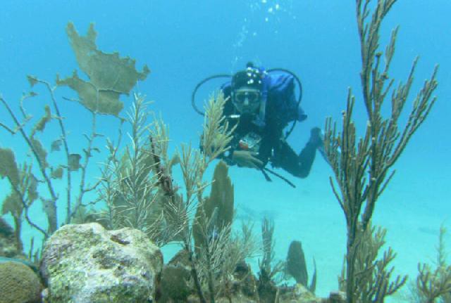 No existe un mapa de los naufragios coloniales en Yucatán No existe un mapa de los naufragios coloniales en Yucatán