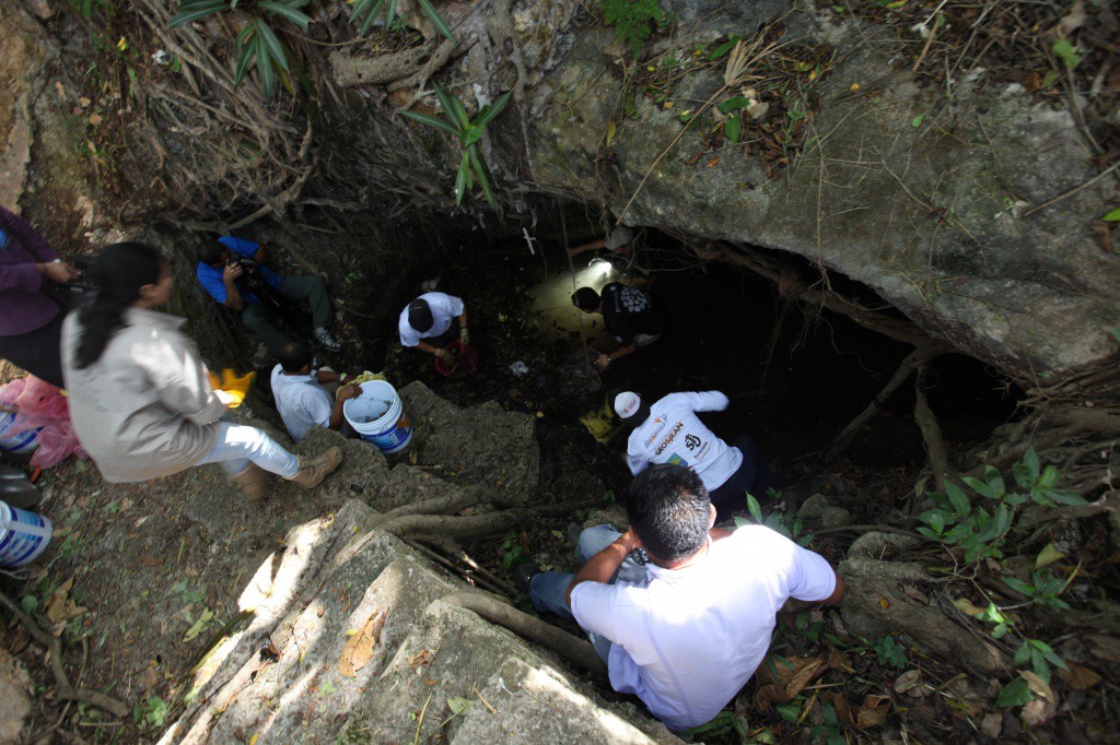 Rescatan exitosamente el Cenote Zazil Há Rescatan exitosamente el Cenote Zazil Há