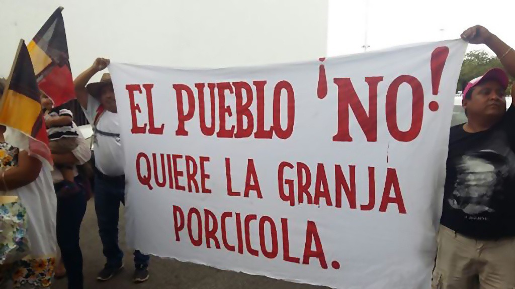 Exigen planta de agua residual a granja porcícola Exigen planta de agua residual a granja porcícola