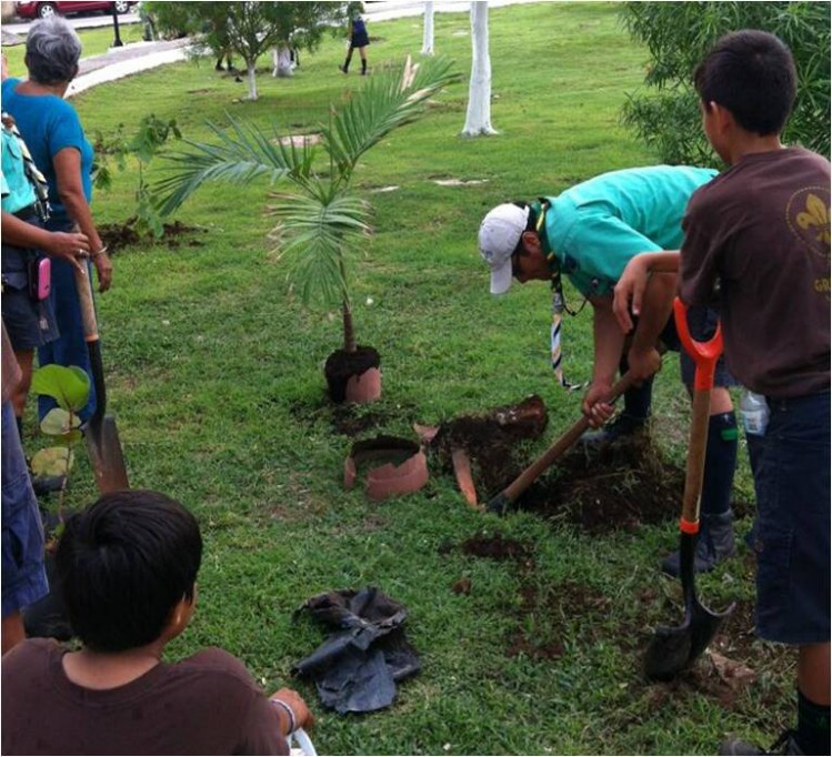 El Ayuntamiento suma esfuerzos para reforestar Mérida El Ayuntamiento suma esfuerzos para reforestar Mérida