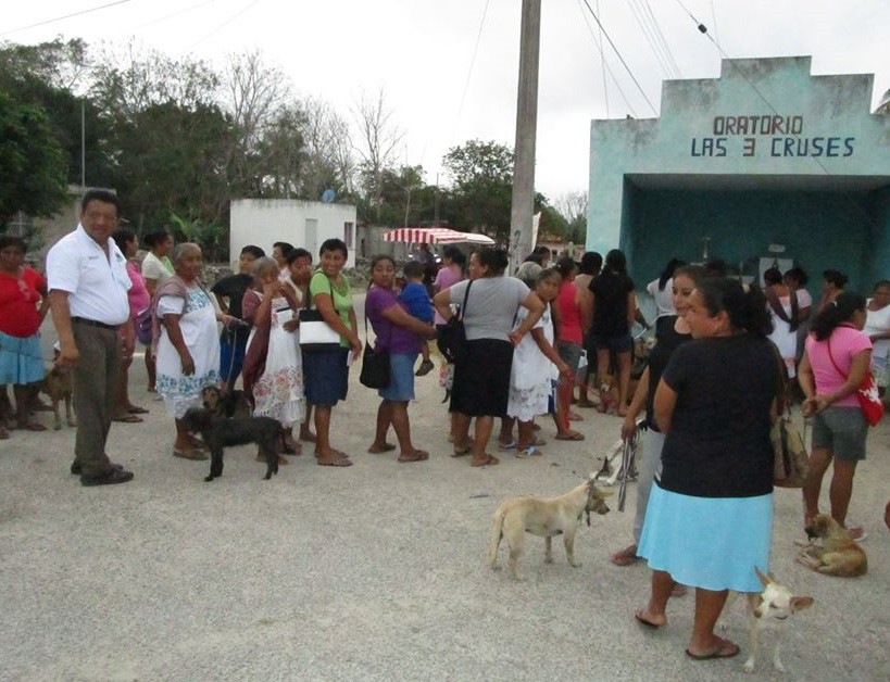 Vacunan a perros y gatos en Espita Vacunan a perros y gatos en Espita