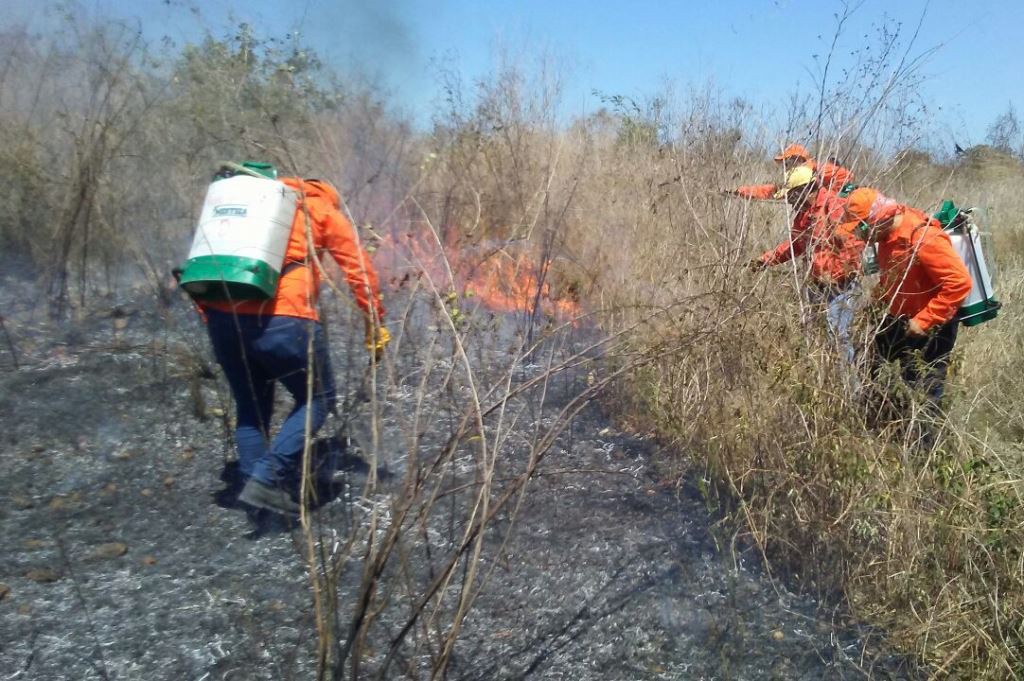 En abril no hay quemas agrícolas En abril no hay quemas agrícolas