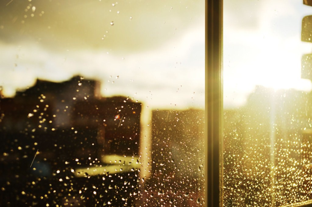 Viernes con lluvias vespertinas Viernes con lluvias vespertinas