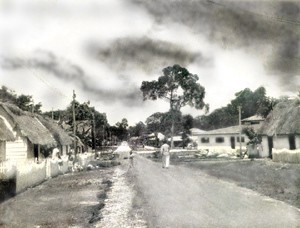 Añoranza por el pasado madedero de colonia Yucatán Añoranza por el pasado madedero de colonia Yucatán
