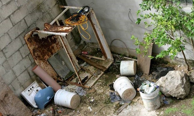Exhortan a limpiar patios y terrenos lóbregos en Sucilá Exhortan a limpiar patios y terrenos lóbregos en Sucilá