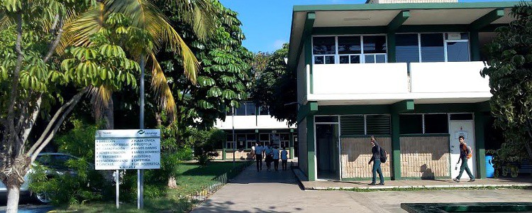 El Conalep no les ha entregado su certificado El Conalep no les ha entregado su certificado
