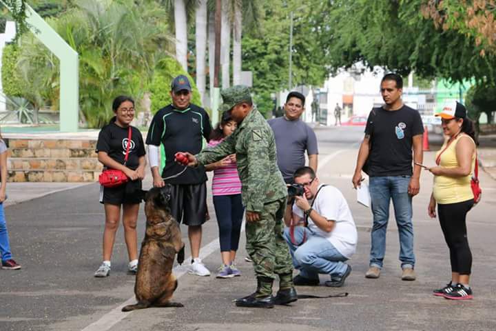 Sedena invita al "Paseo Dominical" en campo militar Sedena invita al "Paseo Dominical" en campo militar