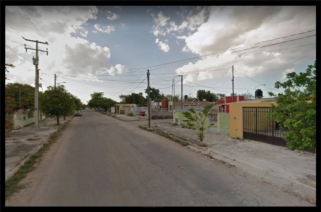 Denuncian a camioneros por atropellar perros Denuncian a camioneros por atropellar perros