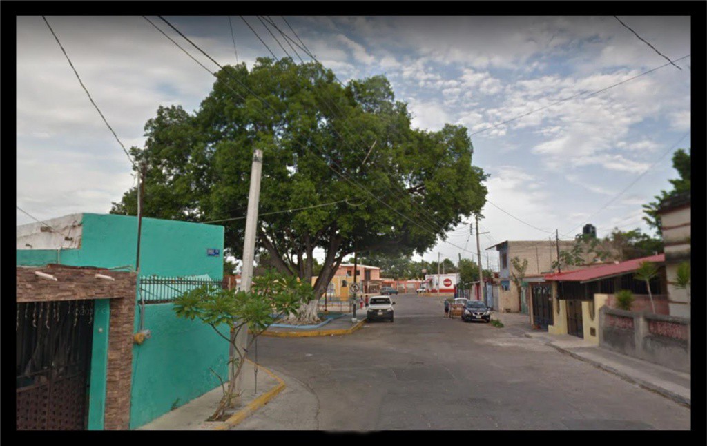 Reportan daños hechos por la rama de un árbol Reportan daños hechos por la rama de un árbol