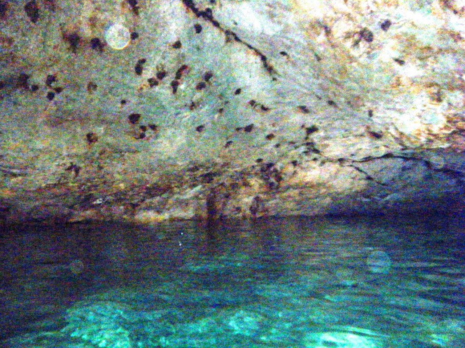 Rescatarán cuatro cenotes en Yucatán Rescatarán cuatro cenotes en Yucatán