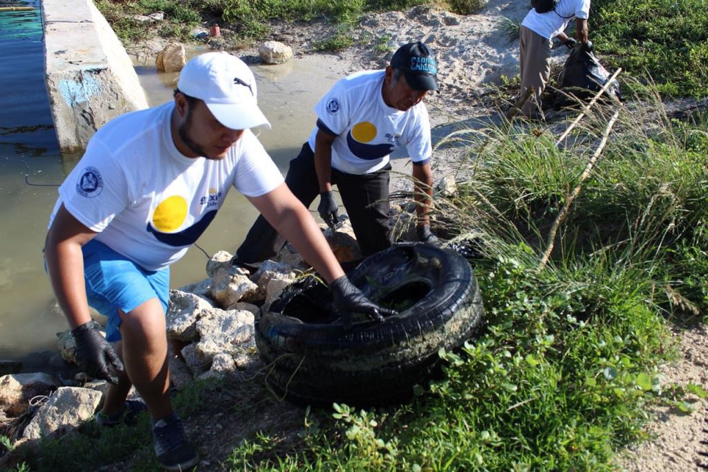 Voluntarios Modelo limpiaron el puerto de abrigo en Sisal Voluntarios Modelo limpiaron el puerto de abrigo en Sisal