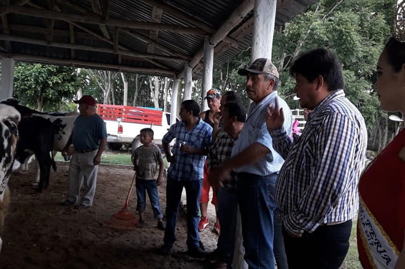 Comienza la feria lechera de Sucilá Comienza la feria lechera de Sucilá