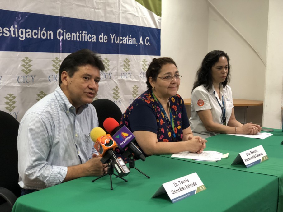 Llega novena edición de CICY Casa Abierta Llega novena edición de CICY Casa Abierta