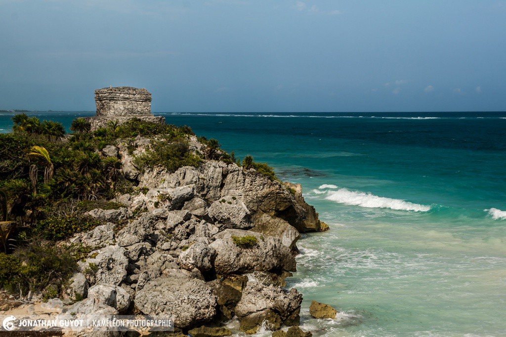SEMARNAT rechaza proyecto La Calma en Tulum SEMARNAT rechaza proyecto La Calma en Tulum