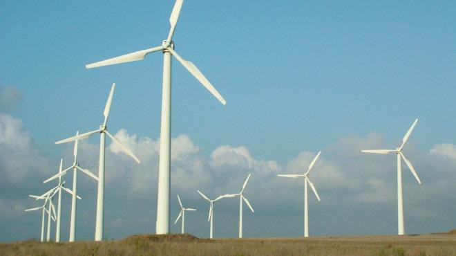 Parques eólicos sin correcta evaluación de impacto ambiental Parques eólicos sin correcta evaluación de impacto ambiental