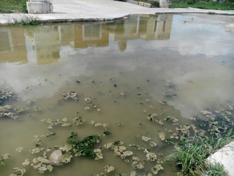 Denuncian foco de infección en Kanasín por un "charco" Denuncian foco de infección en Kanasín por un "charco"