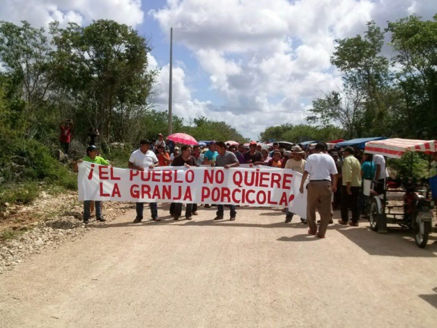 Continúa proceso legal por granja en Homún Continúa proceso legal por granja en Homún