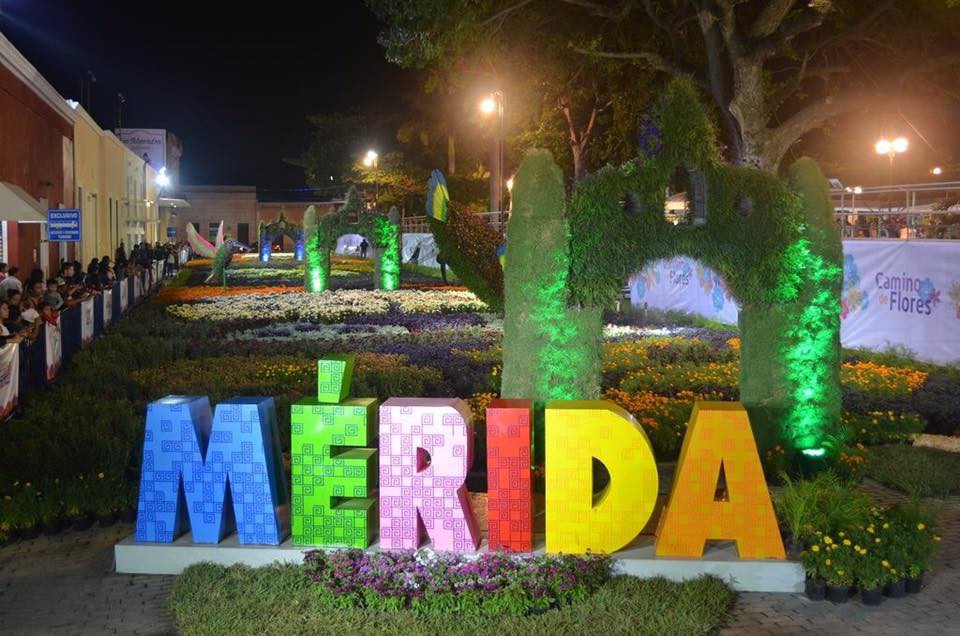 Invitan a visitar "El Camino de las Flores" Invitan a visitar "El Camino de las Flores"