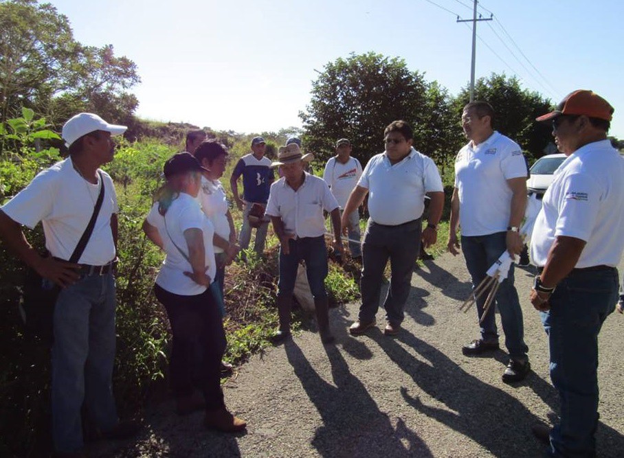 Alcaldes de Sucilá y Panabá limpian carretera estatal Alcaldes de Sucilá y Panabá limpian carretera estatal
