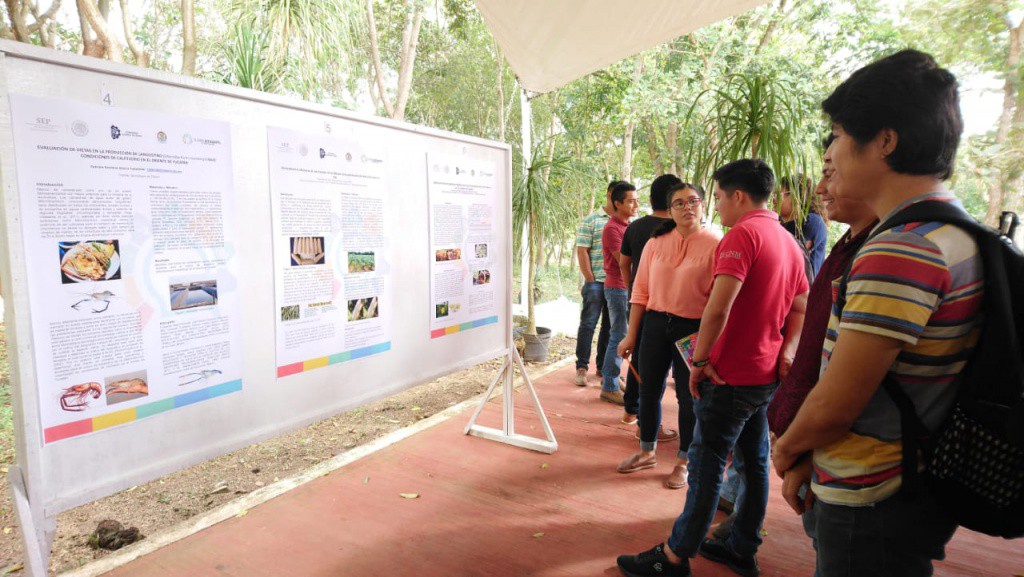 Tecnológico de Tizimín expone proyectos de investigación Tecnológico de Tizimín expone proyectos de investigación