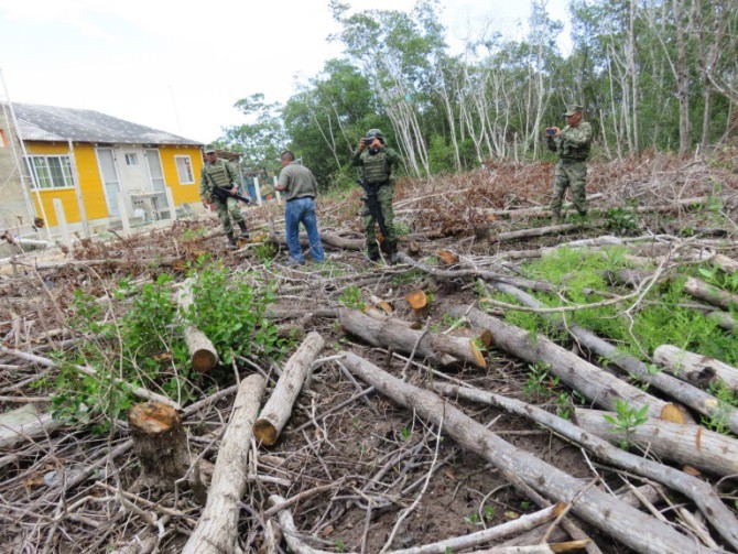 Detectan daño ecológico en Ría Lagartos Detectan daño ecológico en Ría Lagartos