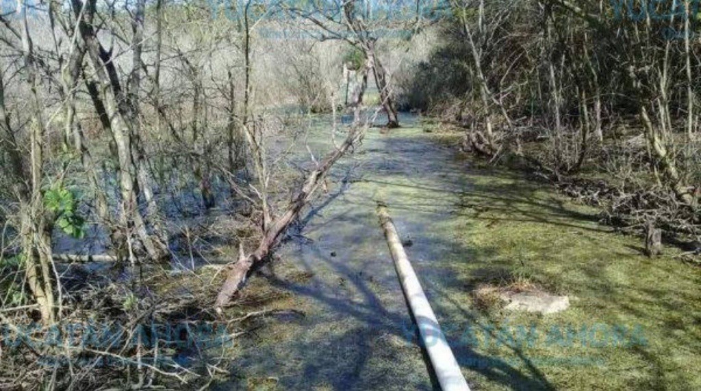 Denuncian contaminación en Kinchil Denuncian contaminación en Kinchil