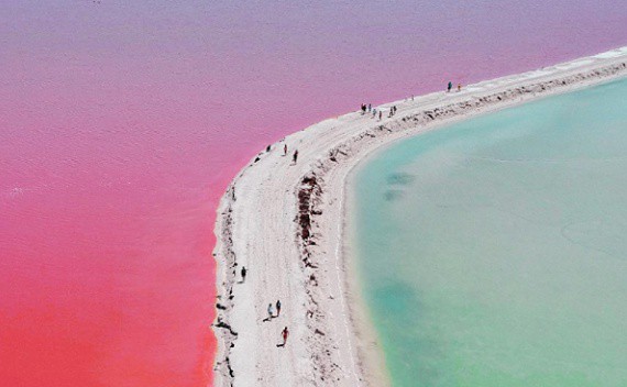 No se regulará cobro por ver charcas rosas de las coloradas No se regulará cobro por ver charcas rosas de las coloradas