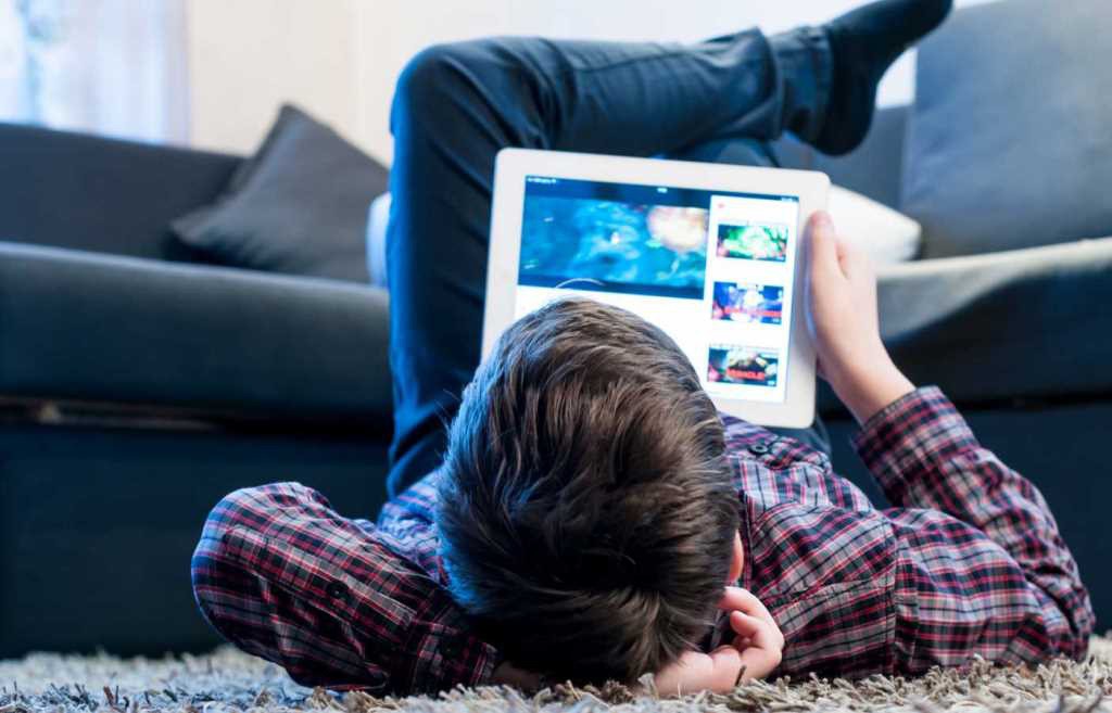 Recomiendan vigilar las redes que usan los niños Recomiendan vigilar las redes que usan los niños