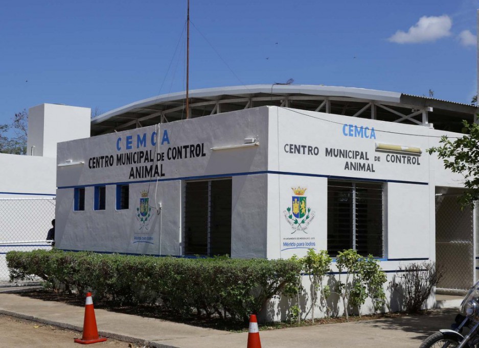 Preparan proyecto de un Hospital para Perros Preparan proyecto de un Hospital para Perros