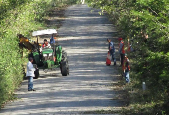 Despejan de maleza carretera Panabá – San Felipe Despejan de maleza carretera Panabá – San Felipe