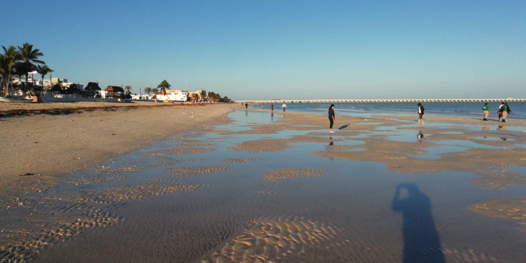 De nuevo, se retira el mar en Progreso