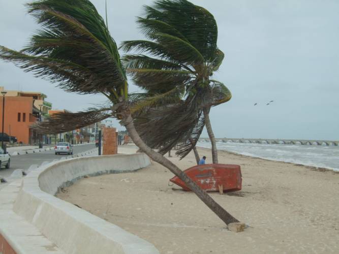 Sequía provocaría "turbonadas" en Yucatán Sequía provocaría "turbonadas" en Yucatán