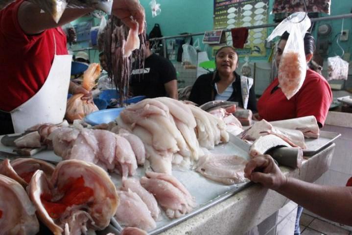 A pesar de la cuaresma, no esperan buena venta de pescado A pesar de la cuaresma, no esperan buena venta de pescado