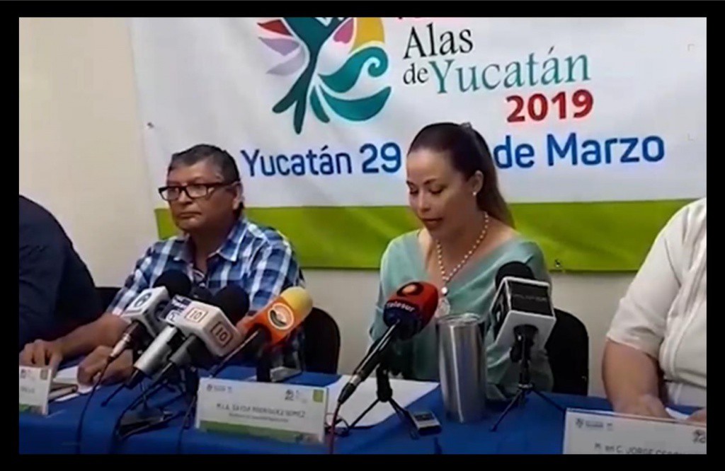 Presentan la 8ª edición del Festival "Alas Limpias" Presentan la 8ª edición del Festival "Alas Limpias"