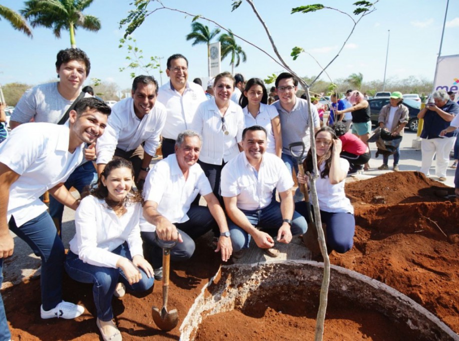 Sembrarán 45 mil árboles en Mérida Sembrarán 45 mil árboles en Mérida