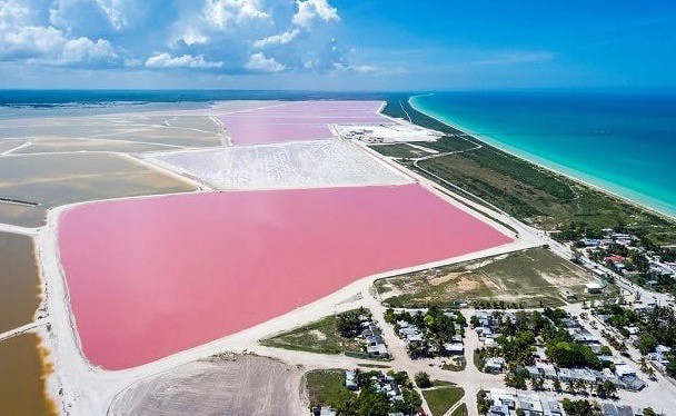 Invitan a mantener limpias las playas de Río Lagartos Invitan a mantener limpias las playas de Río Lagartos