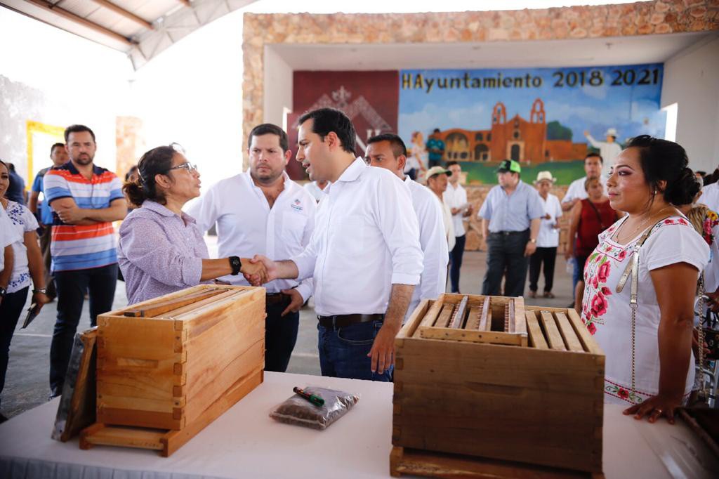 Impulsan la producción de miel Impulsan la producción de miel