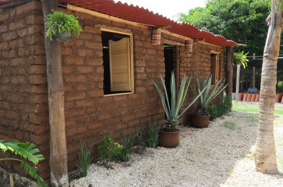 Construirán casas con sargazo Construirán casas con sargazo