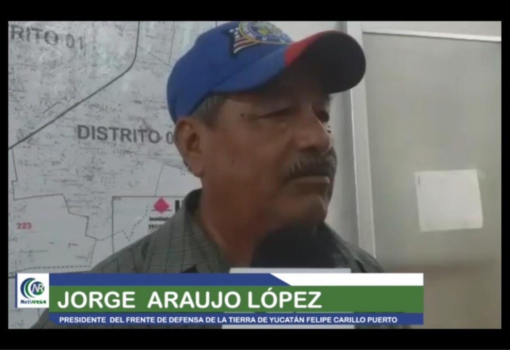 Ecosidio en ejidos de Yucatán Ecosidio en ejidos de Yucatán