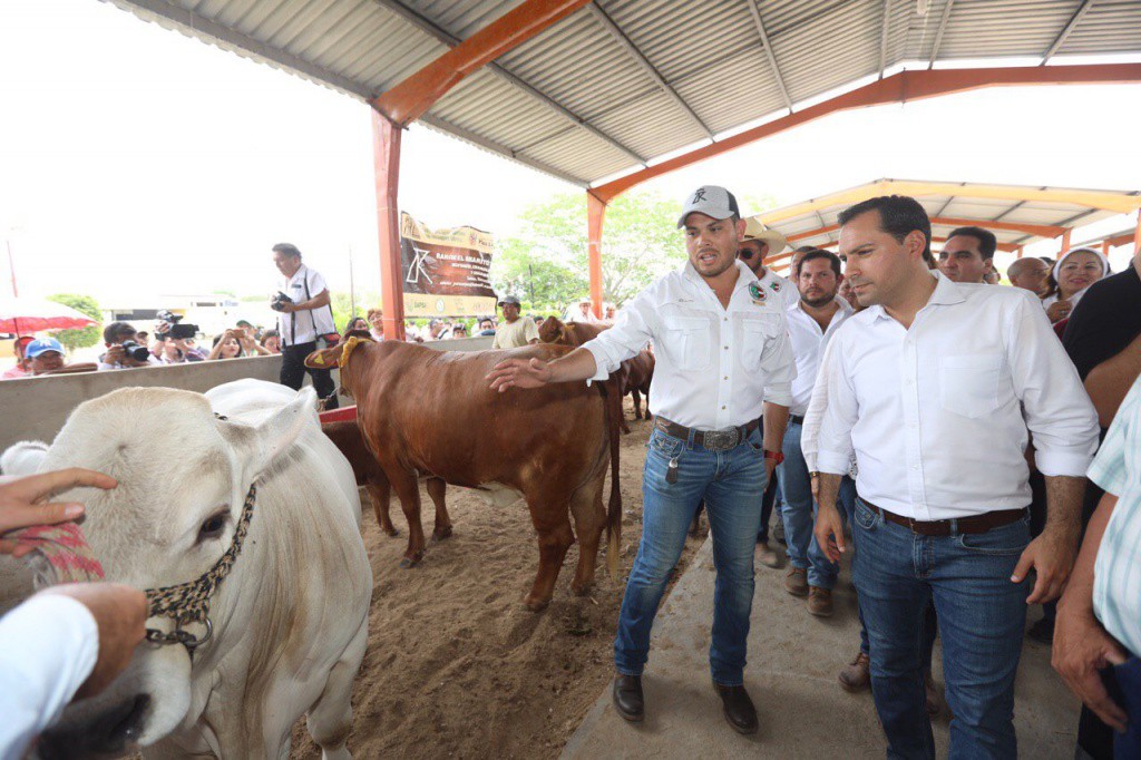 Arranca el programa "Veterinario en tu rancho" Arranca el programa "Veterinario en tu rancho"